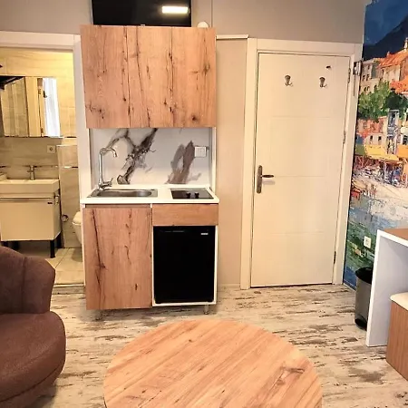 Besiktas 2 Beds Appartement Istanboel